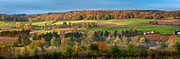 Herbstliche Farben im Geul-Tal bei Epen von Frans Lemmens Miniaturansicht