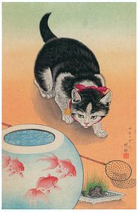 Ohara Koson - Katze und Fischglas (bearbeitet)