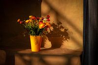 Boeket bloemen Oranje met schaduw