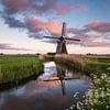 Molen de Meervogel bij Hoeksmeer van Rick Goede