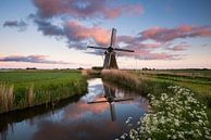 Molen de Meervogel bij Hoeksmeer van Rick Goede thumbnail