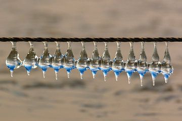 Eiszapfen an einem Seil. von Frans Lemmens