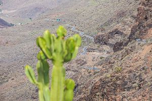 cactus et route de montagne à Gran Canaria