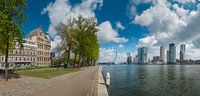 Blick auf die Maas in Rotterdam, Kop van Zuid von Henno Drop Miniaturansicht