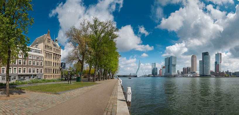 Blick auf die Maas in Rotterdam, Kop van Zuid von Henno Drop