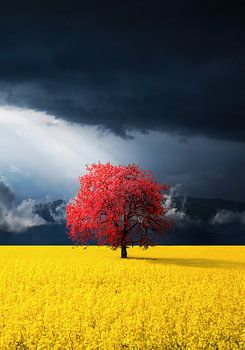 Roter Baum