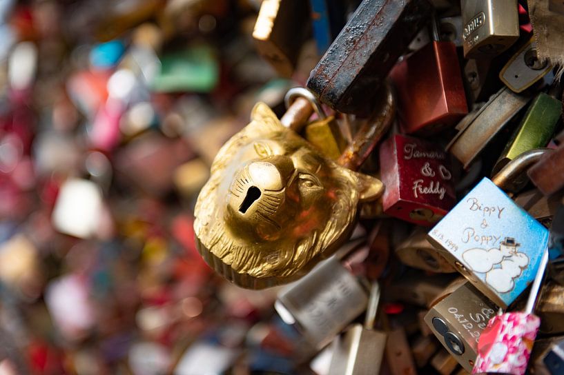 Lion head padlock by Bas Schneider