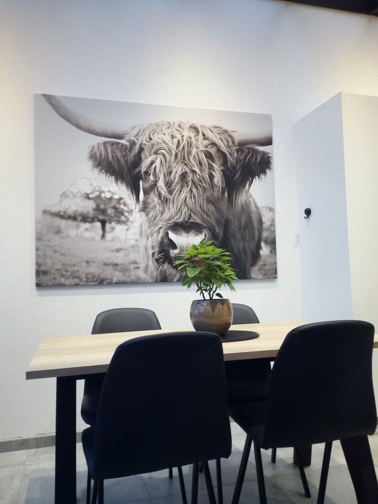 Highlander écossais par Jo Beerens