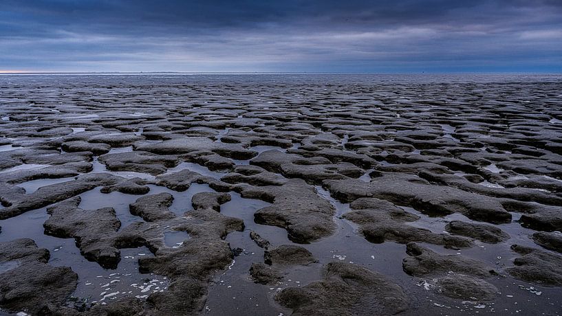 Wattenmeer bei Koehool von Eddy Westdijk