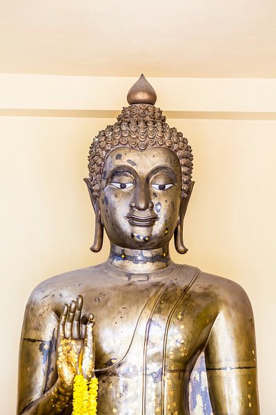 Buddha von Marcel Derweduwen
