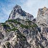Blick auf die Mühlsturzhörner im Berchtesgadener Land in Bayer von Rico Ködder