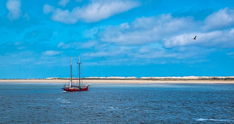 Sailing ship off the coast of Terschelling by Rietje Bulthuis