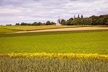 Windmolen Vrouwenheide in Ubachsberg van Rob Boon