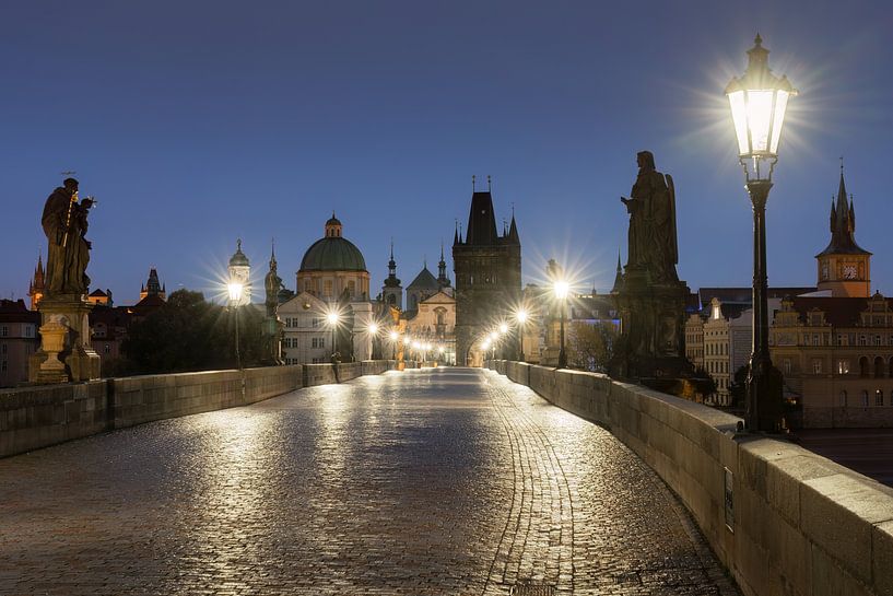 Lichter weisen den Weg von Anges van der Logt