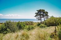 Uitzicht op de Waddenzee bij Vlieland vanaf de Vuurboetsduin van Daphne Groeneveld thumbnail
