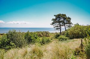 Vue sur la mer des Wadden près de Vlieland depuis le Vuurboetsduin