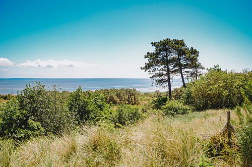 Uitzicht op de Waddenzee bij Vlieland vanaf de Vuurboetsduin