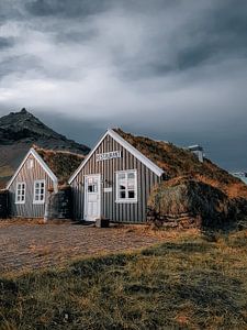 Grashäuser im Westen von Island von Yvonne de Bondt