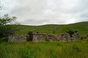 Ruine in Irland