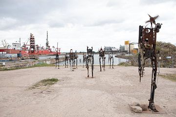 Robots in de haven van Gdansk