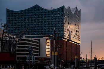 Evening light on the Elbphilharmonie