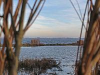 Uitzicht op het Haringvliet bij Stellendam
