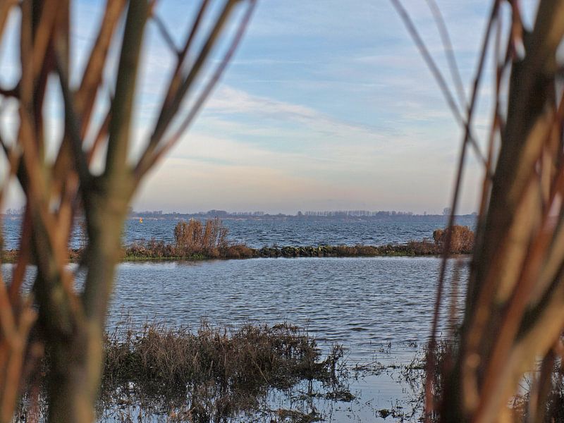 Blick auf das Haringvliet bei Stellendam von Rinke Velds