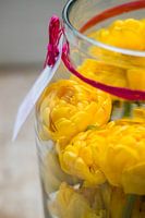 Gele tulpen in glazen pot