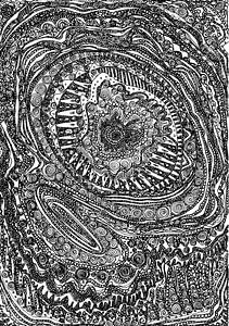 Arcturian flower3