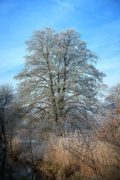 Idyllische Winterlandschaft am Fluss Paar von ManfredFotos