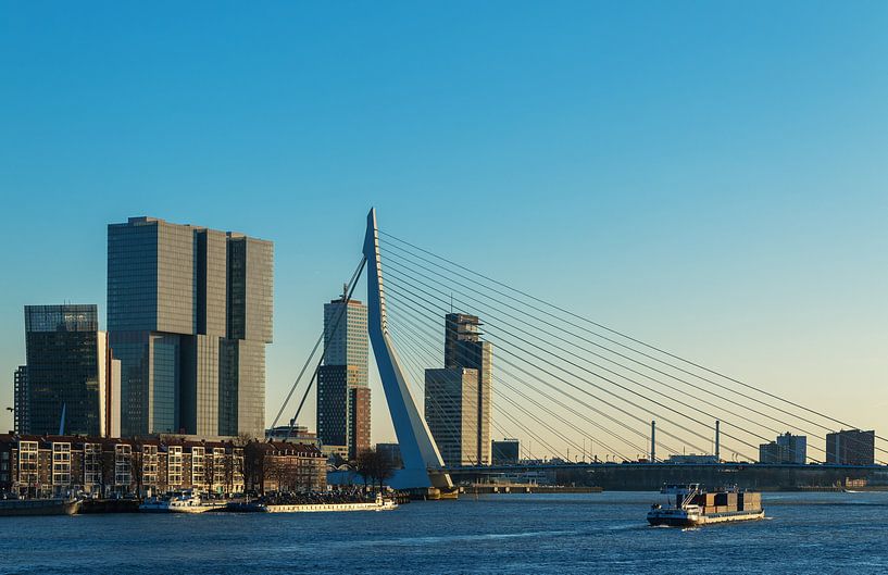 Rotterdam aan de maas van Ilya Korzelius