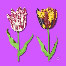 Tulpen von Marco Roling