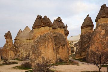 Rotsformaties, Cappadocia, Turkije van Lieuwe J. Zander