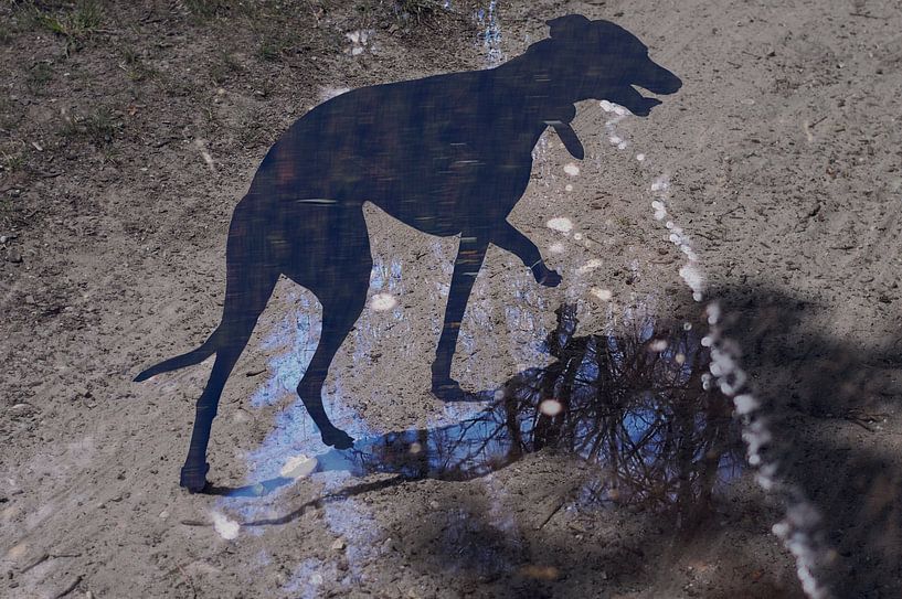 Walking shadow by True Color Stories