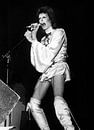 David Bowie sur scène pendant la tournée Ziggy Stardust par Bridgeman Images Aperçu