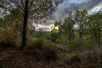 Unspoilt nature in Portugal