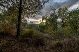 Unspoilt nature in Portugal by Edwin van Kuler Fotografie