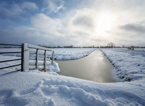 Een pak sneeuw bedekt het landschap in de polder - Noordeloos, N