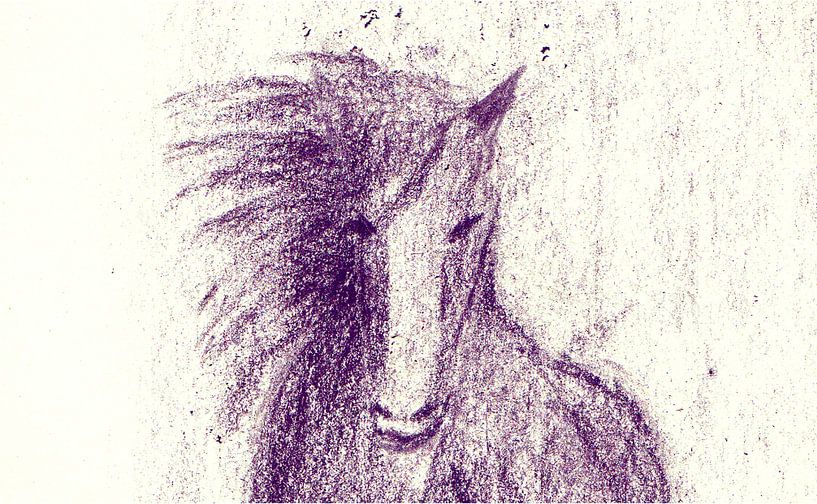 Purple Horse van Ray63