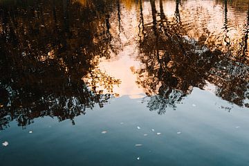 Herbstliche Reflektionen im Wasser, Naarden Vesting, Niederlande von Suzanne Spijkers