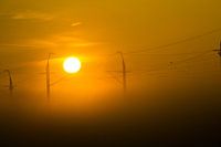 Zon tussen de mist langs de weg. 