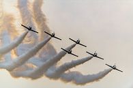 Breitling Jet Team of Patrouille Breitling. van Jaap van den Berg thumbnail