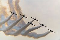 Breitling Jet Team ou Patrol Breitling.