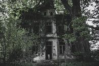 Decaying glory by Myron van Ruijven thumbnail