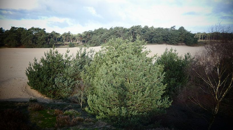 Mijn eigen schaduw gevangen in de foto by Veluws