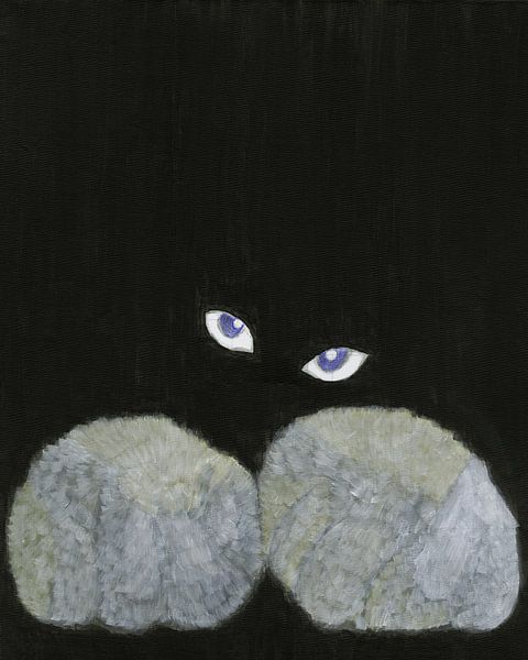 Schwarze Katze mit Augen auf schwarzem Hintergrund von Nelleke Bruno