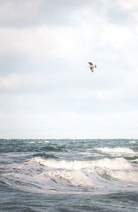 Sturm an der Ostsee