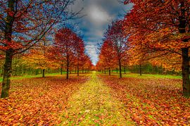 Hefst von Reint van Wijk