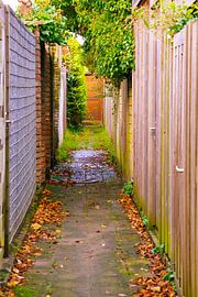 Baufällige und instandhaltungsbedürftige Gasse von Dennis van der Geest
