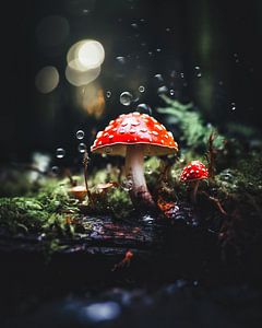 Makro von Pilzen